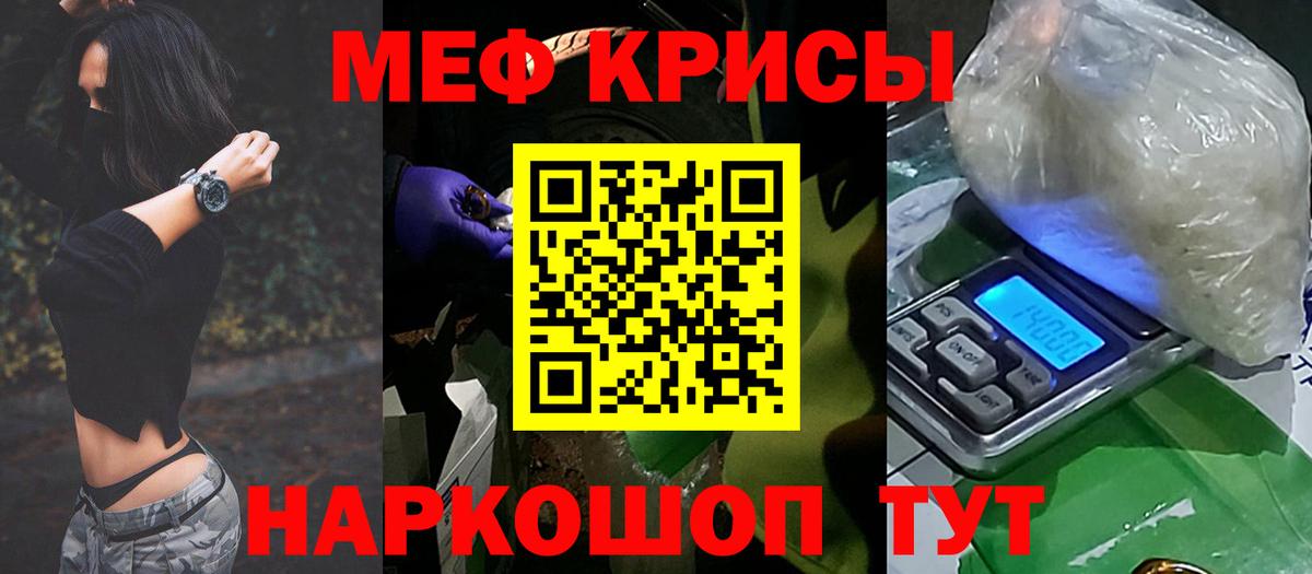 МЕФ Гатчина