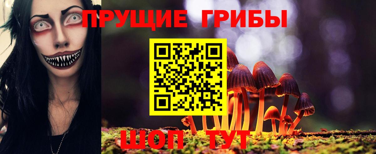 Галлюциногенные грибы мицелий  Псилоцибиновые грибы прущие грибы  Вход с VPN  Гатчина 